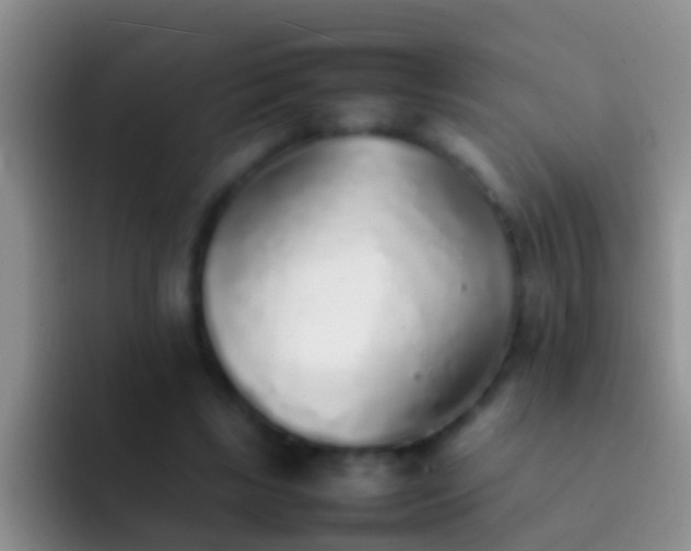 X0000092100443200709262144