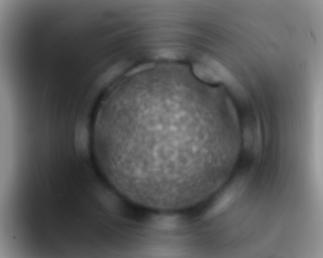 X0000092100444200709262144