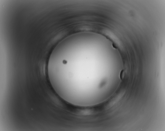 X0000092100445200709262144