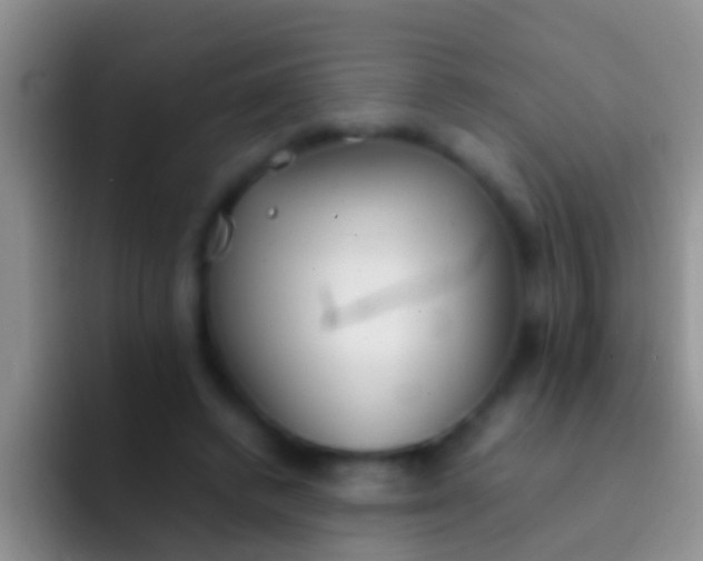 X0000092100448200709262144