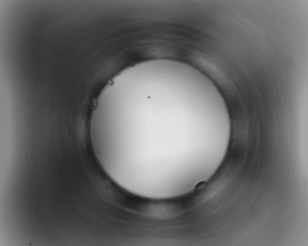 X0000092100453200709262144