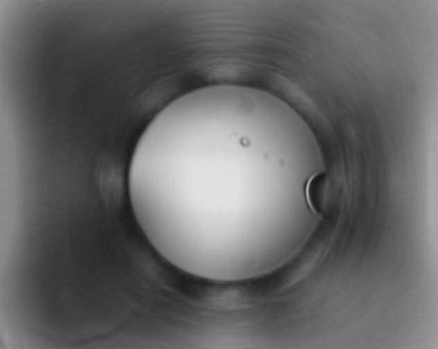 X0000092100454200709262144