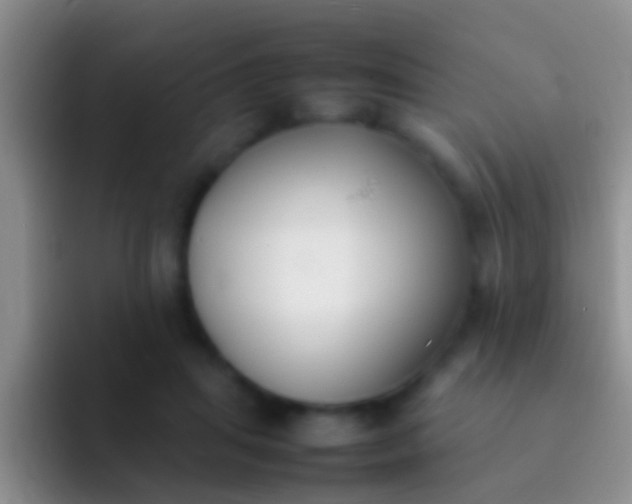 X0000092100455200709262144