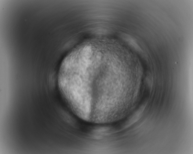 X0000092100458200709262144