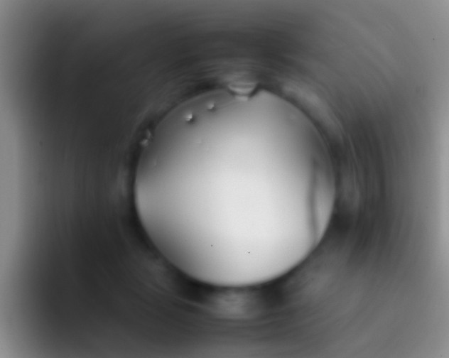 X0000092100461200709262144