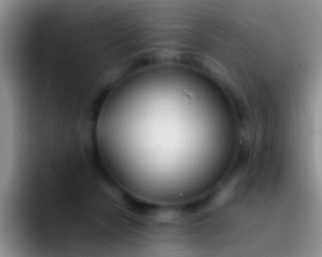 X0000092100462200709262144