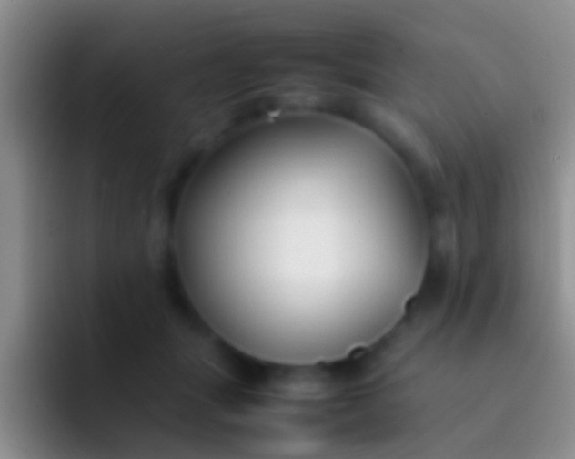 X0000092100463200709262144