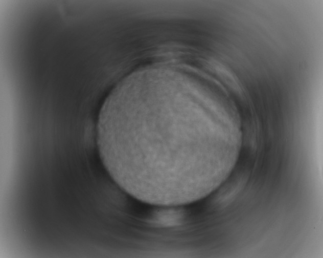 X0000092100465200709262144