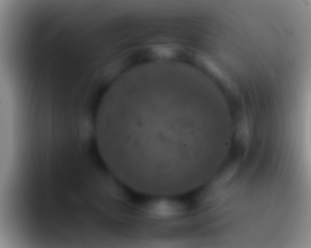 X0000092100467200709262144