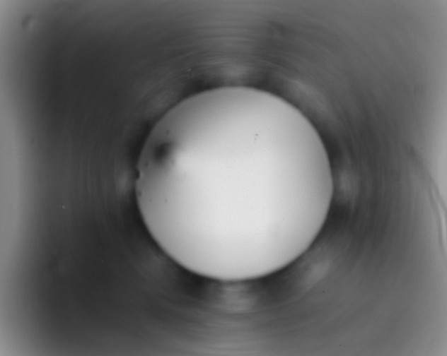 X0000092100472200709262144