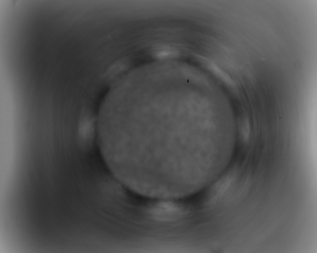 X0000092100475200709262144