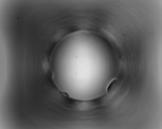 X0000092100479200709262144