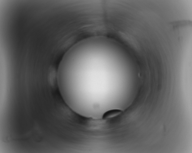 X0000092100480200709262144