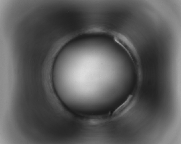 X0000092100481200709262144