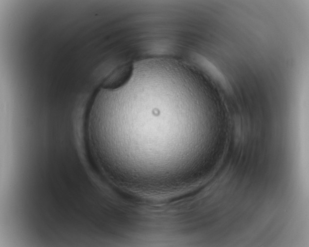 X0000092100482200709262144