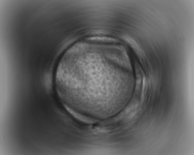 X0000092100484200709262144