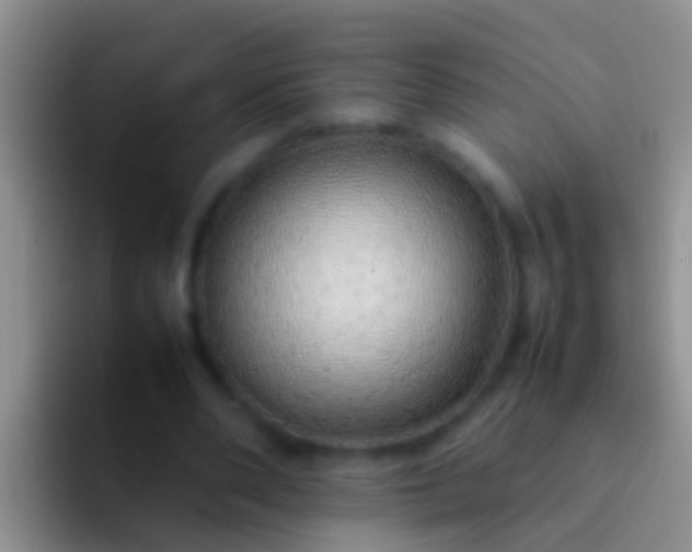 X0000092100486200709262144