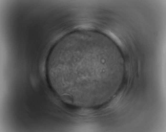 X0000092100487200709262144