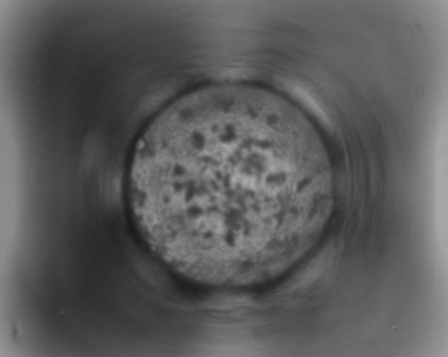 X0000092100491200709262144