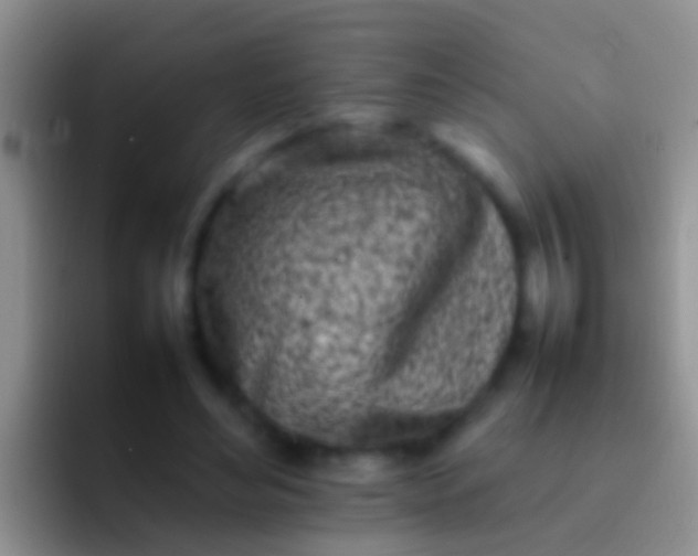 X0000092100492200709262144