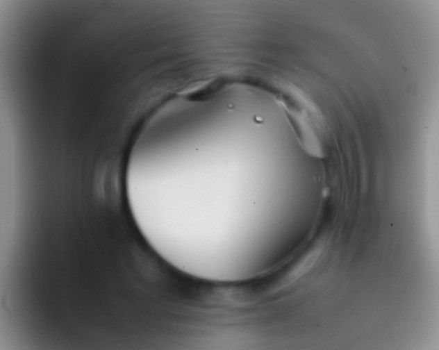 X0000092100493200709262144