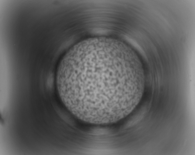 X0000092100494200709262144