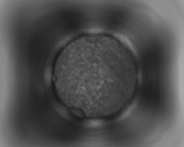 X0000092100495200709262144