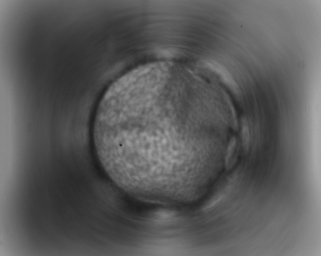 X0000092100496200709262144