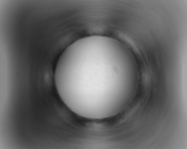 X0000092100498200709262144