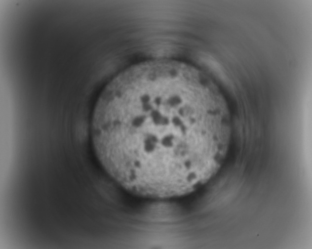 X0000092100499200709262144