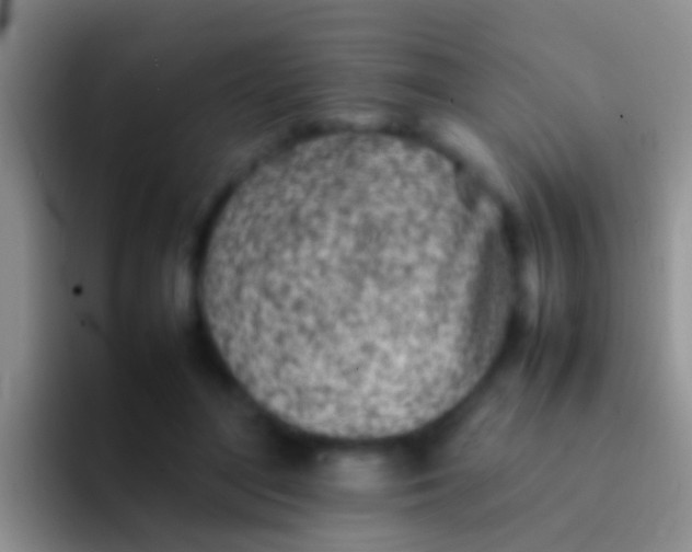 X0000092100500200709262144