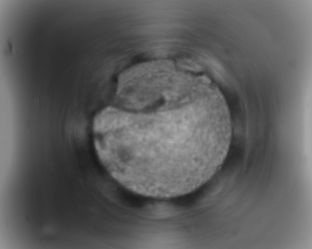 X0000092100503200709262143