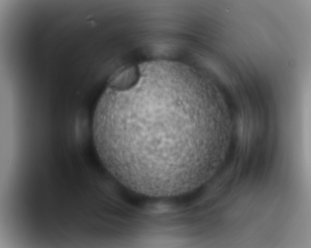 X0000092100506200709262143