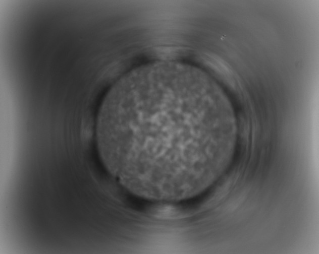 X0000092100507200709262143