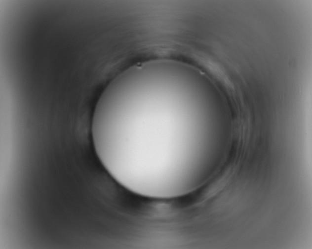 X0000092100509200709262143