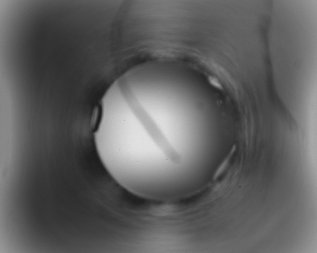 X0000092100513200709262143