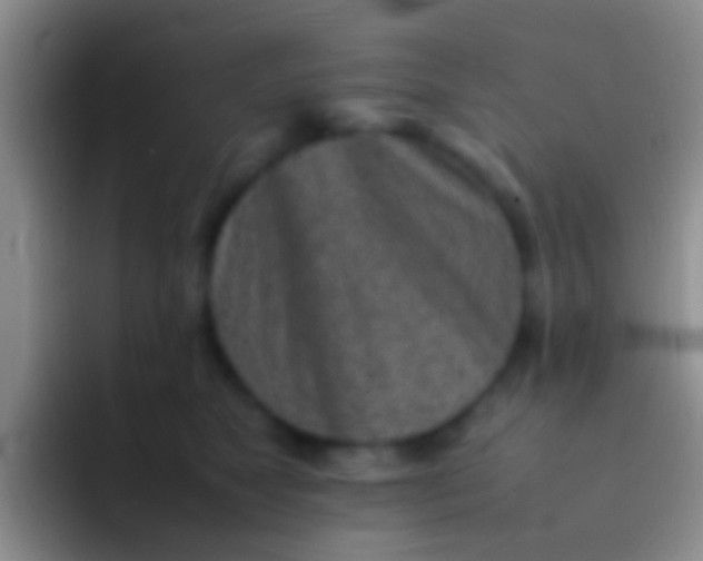 X0000092100517200709262143