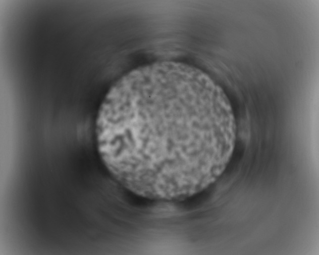 X0000092100519200709262143