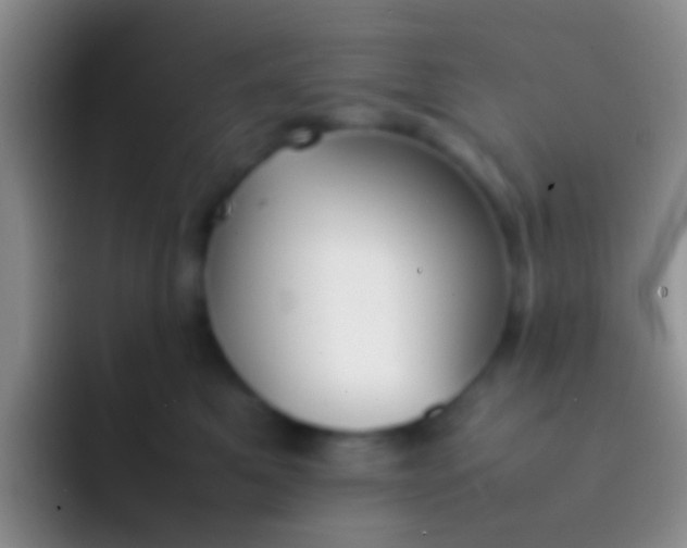 X0000092100521200709262143