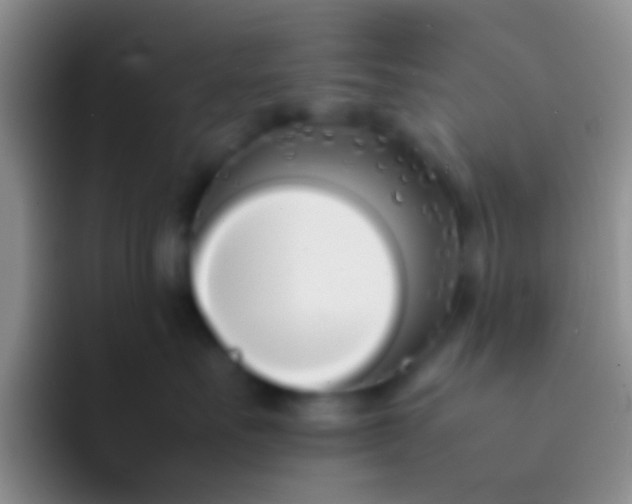 X0000092100527200709262143