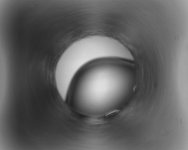 X0000092100528200709262143