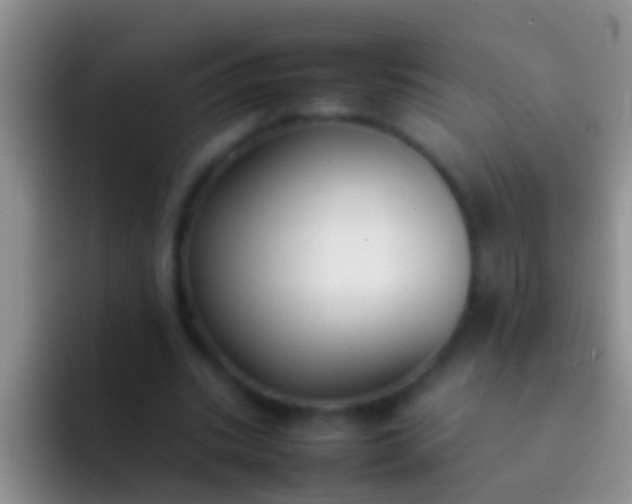 X0000092100535200709262143