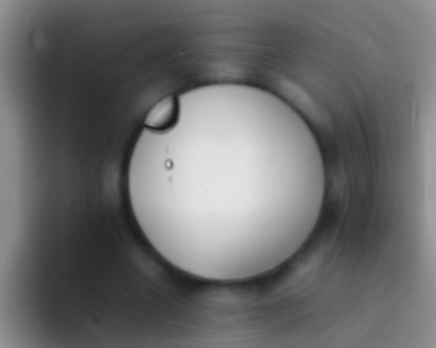 X0000092100538200709262143