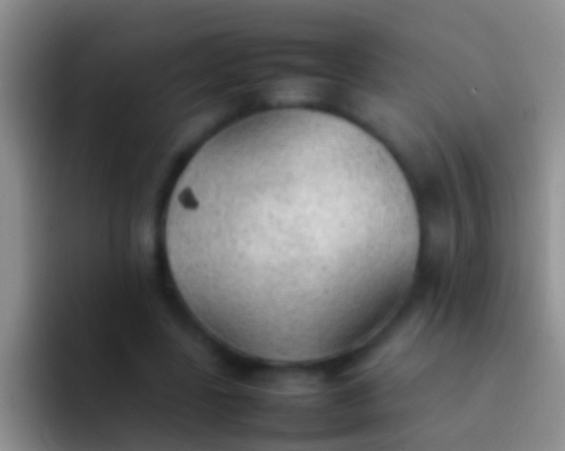 X0000092100539200709262143