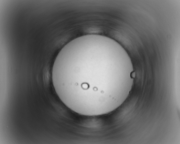 X0000092100541200709262143