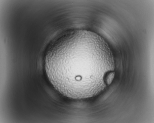 X0000092100542200709262143