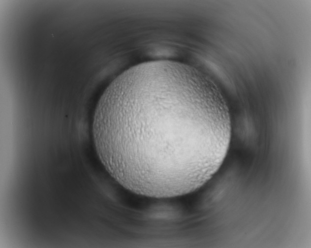 X0000092100547200709262143