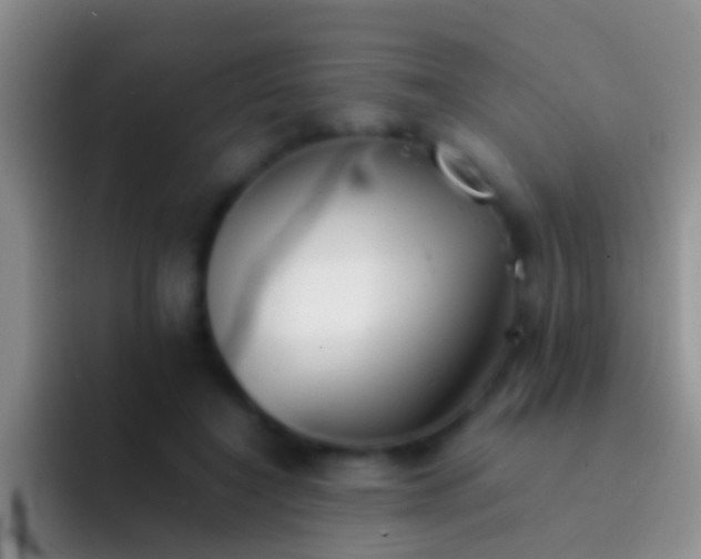 X0000092100548200709262143