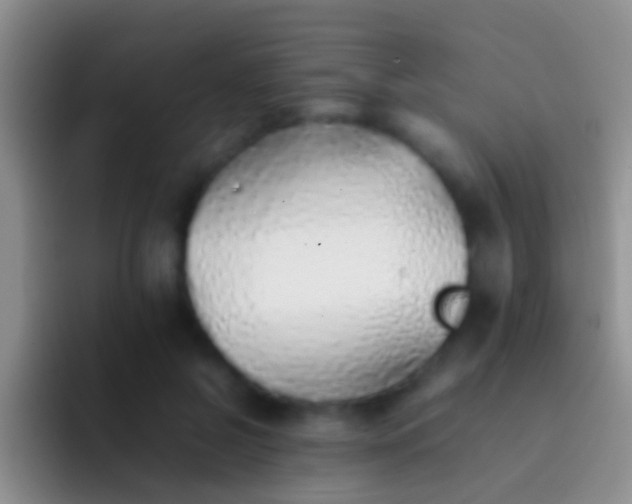 X0000092100550200709262143