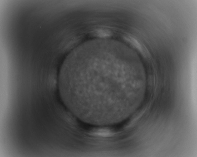 X0000092100553200709262143